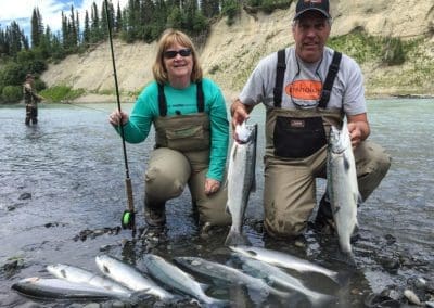 Sockeye