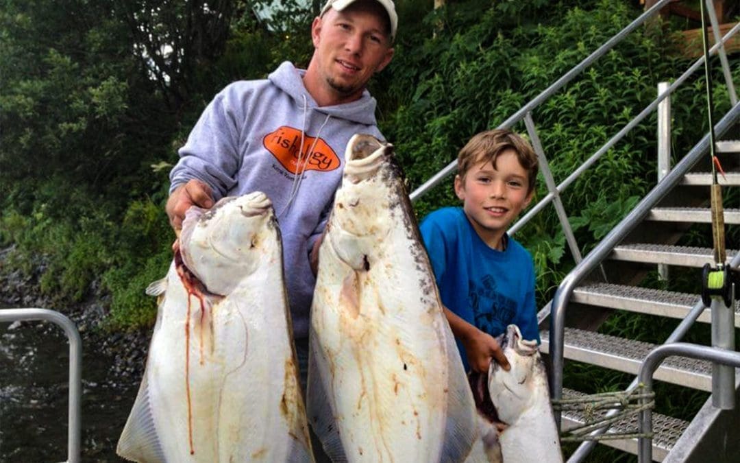 Halibut