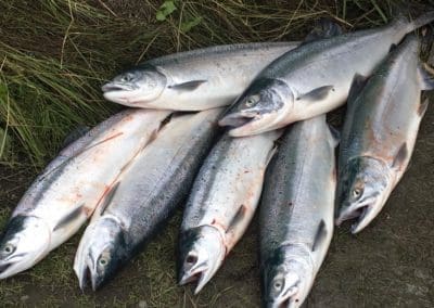 Kenai River