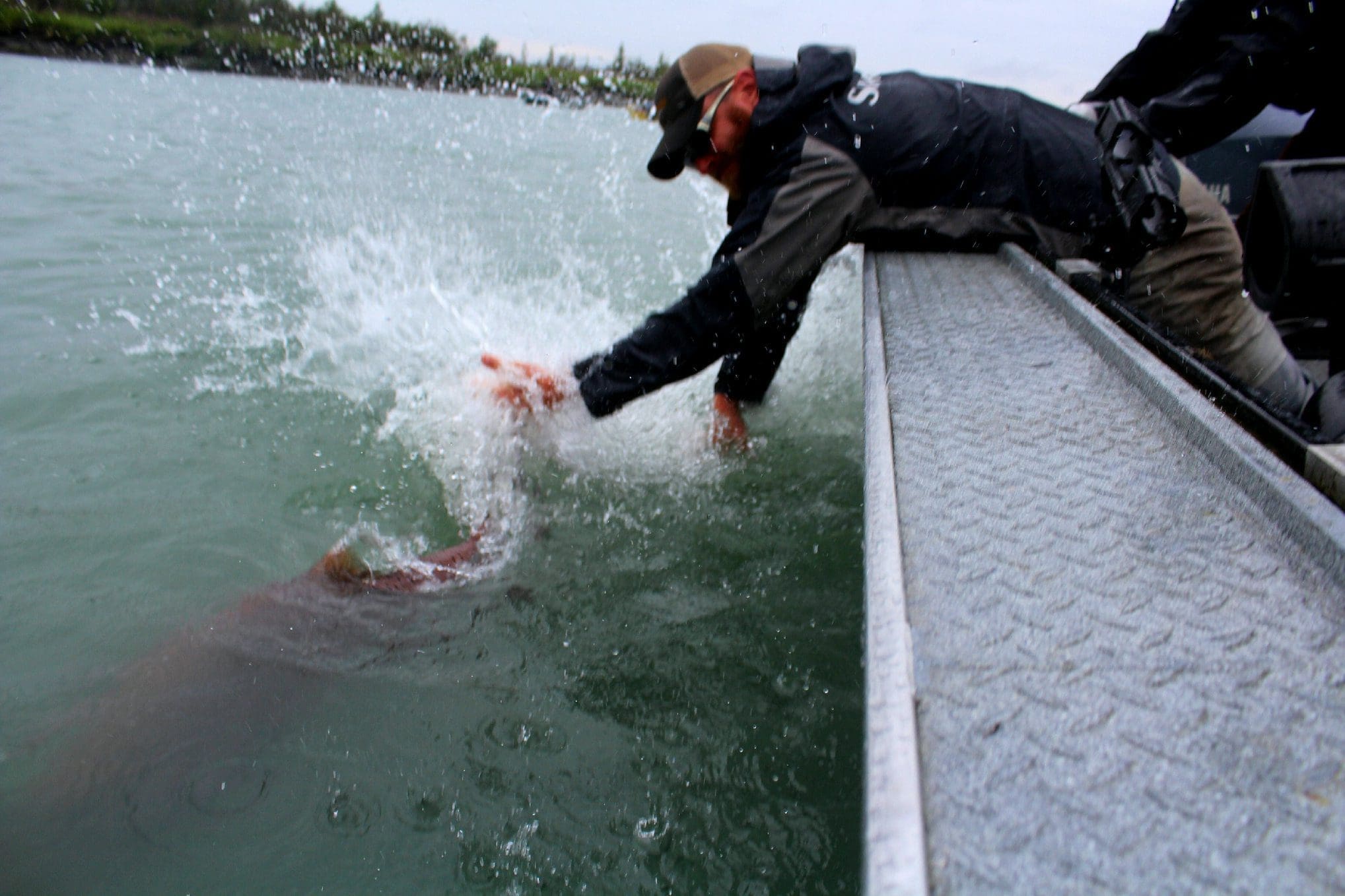 Spotlight:  Lower Kenai River