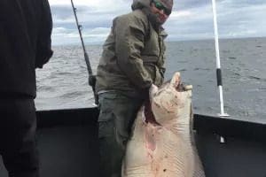 Kenai River Fishing Guide Rates