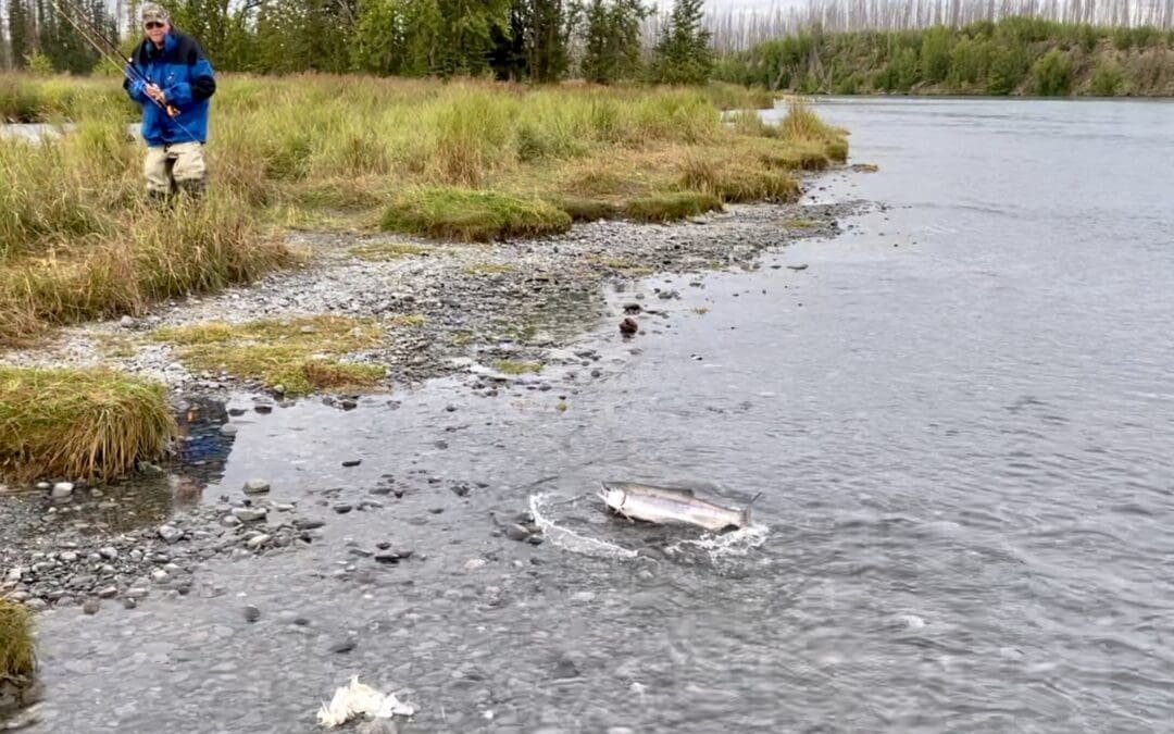 Sockeye Salmon Fishing Series Part III: Knots - Alaska Fishology - Kenai  River Salmon Fishing Guide