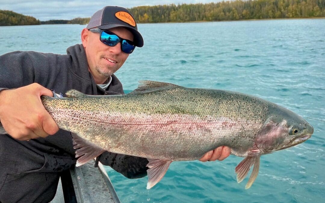 Kenai River Trout Fishing Strategy: The Pop Set