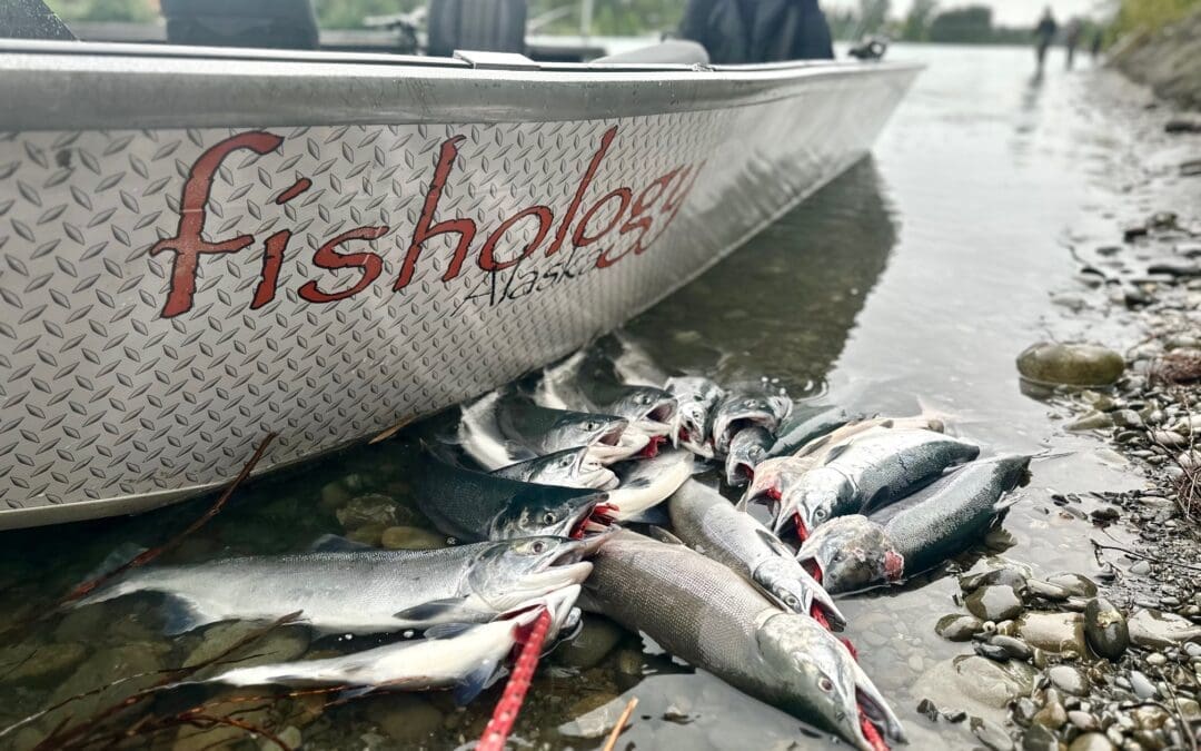 Kenai and Kasilof River Run Timing